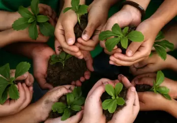 حملات التشجير في تركيا عرفت بعدة أسماء مثل "الوطن الأخضر" و"نفس المستقبل"