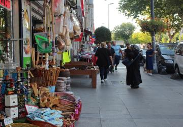 الأدب والدراما خلقا جسرا قويا ساعد على اندماج العرب مع الأتراك