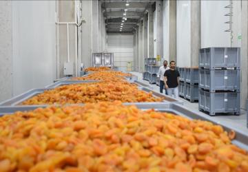 تشتهر الفواكه المجففة التركية بشكل خاص في المدن الواقعة شرق تركيا