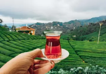 أفضل وجهات السياحة في ريزا التركية 2023