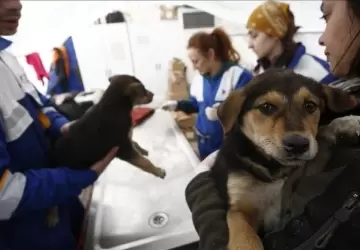 تهدف جمعية حماية الحيوانات إلى توفير ظروف معيشية إيجابية لها