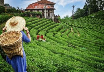 تضم منطقة البحر الأسود ولايات فريدة ومدن مختلفة ذات تنوع عرقي مذهل