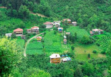 تعد البيوت الخشبية في تركيا من بين الخيارات الأفضل لرحلة ممتعة