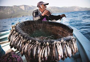 تشكل مهنة الصيد في تركيا خاصة صيد الأسماك جزءاً رئيسياً من حياة بعض المجتمعات