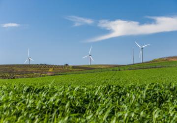 تمتد أفضل شركات عاملة بالقطاع الزراعي في تركيا على مساحات شاسعة لغايات إنتاج المحاصيل الزراعية والأسمدة