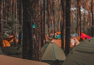 يوجد العديد من مواقع التخييم في شيله التي تضمن لك قضاء رحلة مميزة وتجربة جميلة