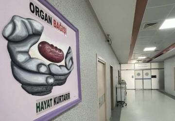 التبرع بالأعضاء في تركيا يعد من الأعمال الإنسانية النبيلة