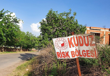 خلال أيام قليلة قامت السلطات التركية بعزل 4 احياء في ولايتين تركيتين بسبب داء الكلب