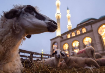 يوم الأحد 16 حزيران/يونيو 2024 أول أيام عيد الأضحى في تركيا