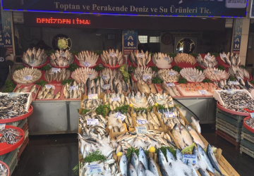 مطاعم ومتاجر بيع السمك في تركيا وأبرز أنواعه