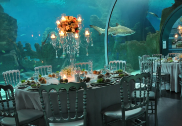 حين تزور اسطنبول لا بد أن يدفعك الفضول لزيارة مجمع اكواريوم للأسماك