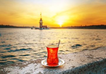 هناك العديد من الأنواع من الشاي يهتم الأتراك بتحضيرها وتناولها ويتفنون في إعدادها