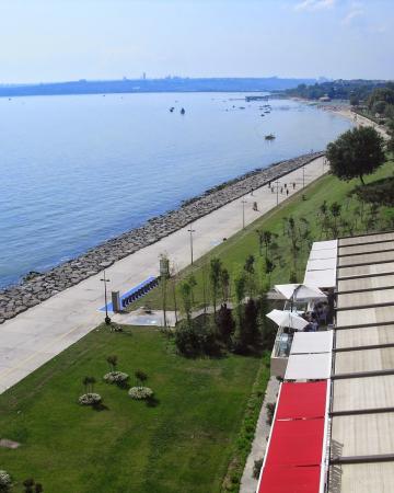 تتميز حديقة فلوريا بموقعها المميز وقد تم افتتاحها سنة 1994