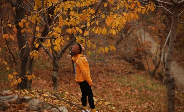 استقبلت تركيا فصل الخريف في 23 سبتمبر/أيلول