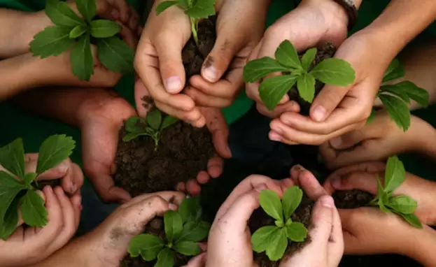 حملات التشجير في تركيا عرفت بعدة أسماء مثل "الوطن الأخضر" و"نفس المستقبل"