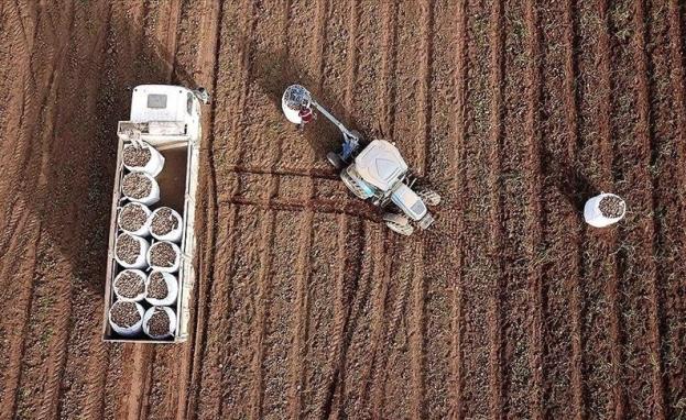 تفرض الحكومة التركية بعض الشروط على المستثمرين الأجانب ليتمكنوا من دخول عالم الاستثمار الزراعي في تركيا