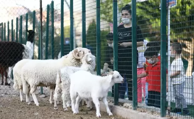 اللغة التركية.. تعرف معنا على أسماء الحيوانات والطيور باللغة التركية