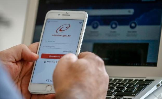 تستطيع التقدم لتبني القطط عن طريق إي دولت