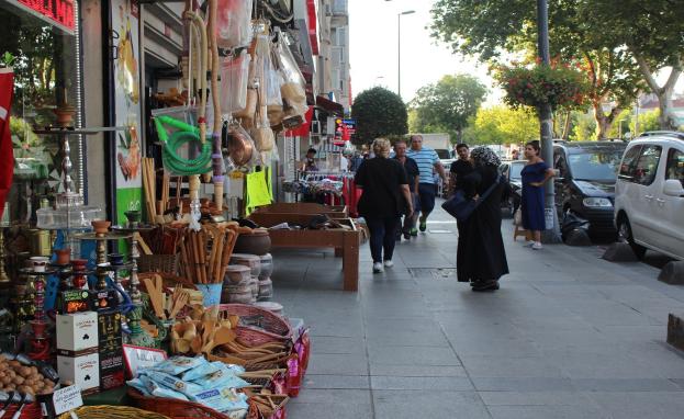 الأدب والدراما خلقا جسرا قويا ساعد على اندماج العرب مع الأتراك