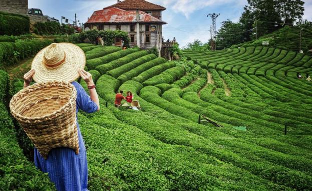 تضم منطقة البحر الأسود ولايات فريدة ومدن مختلفة ذات تنوع عرقي مذهل