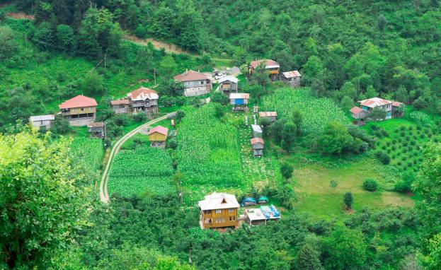 تعد البيوت الخشبية في تركيا من بين الخيارات الأفضل لرحلة ممتعة