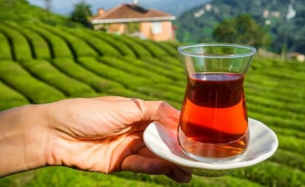 تتمتع ريزة بتربة خصبة ومناخ مناسب ينعكس إيجاباً على زراعة الشاي