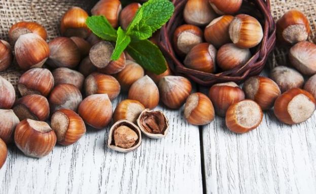 هناك العديد من الاستخدامات التي يستخدم فيها البندق التركي محليا وفي الدول الأخرى التي يصدر لها