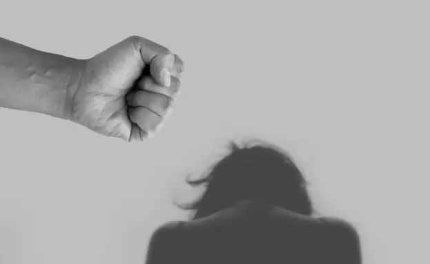 مصطلحات عن مواجهة العنف ضد المرأة في تركيا