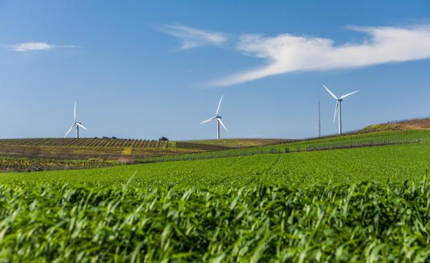 تمتد أفضل شركات عاملة بالقطاع الزراعي في تركيا على مساحات شاسعة لغايات إنتاج المحاصيل الزراعية والأسمدة