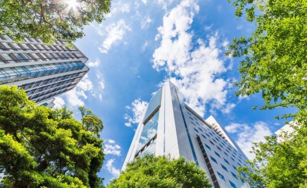 تفيد الشهادة الخضراء في تركيا في العديد من التطبيقات