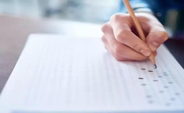 هناك خمس مستويات رئيسية في تعلم اللغة التركية