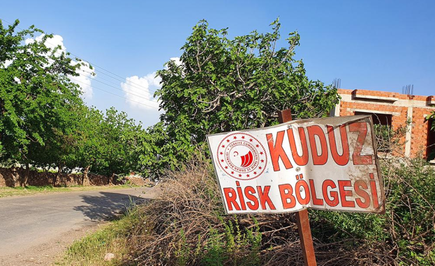 خلال أيام قليلة قامت السلطات التركية بعزل 4 احياء في ولايتين تركيتين بسبب داء الكلب