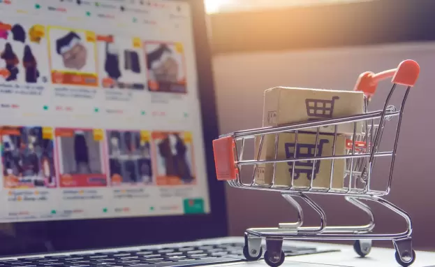 هناك العديد من المفاهيم عن العمل بمجال التجارة الإلكترونية في تركيا