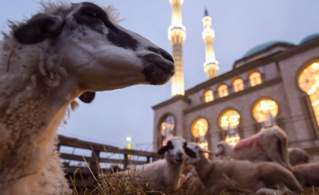 يوم الأحد 16 حزيران/يونيو 2024 أول أيام عيد الأضحى في تركيا