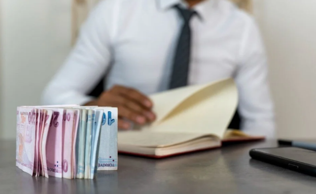 ذكر اقتصاديون أتراك أن الهدف من السياسات الاقتصادية قد تنجح في خفض التضخم في تركيا