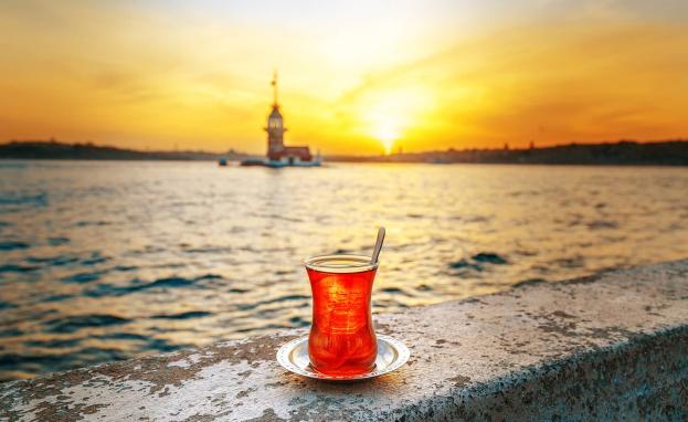 هناك العديد من الأنواع من الشاي يهتم الأتراك بتحضيرها وتناولها ويتفنون في إعدادها