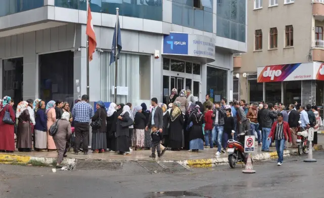 تتيح الخدمة الإلكترونية تقديم الطلب ومتابعة النتيجة.