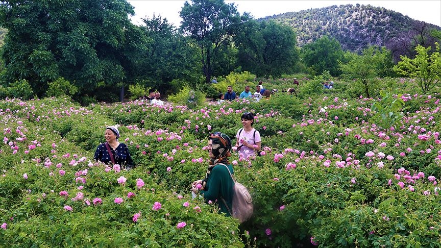 تقع مدينة إسبارطة جنوب غرب تركيا وفي شمال البحر الأبيض المتوسط