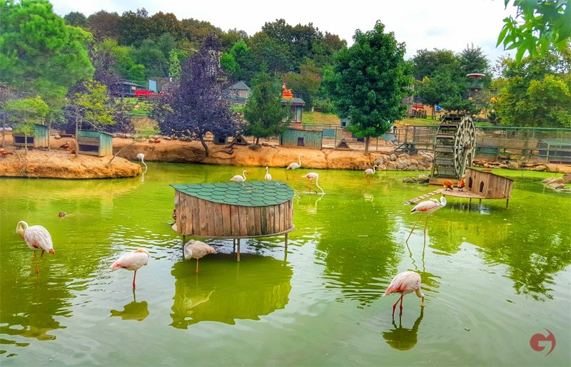 حديقة بولونيزكوي الطبيعية "Polonezköy tabiat parkı"