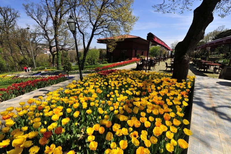 حديقة تل تشامليجا "Çamlıca Tepesi" في الجانب الآسيوي من اسطنبول