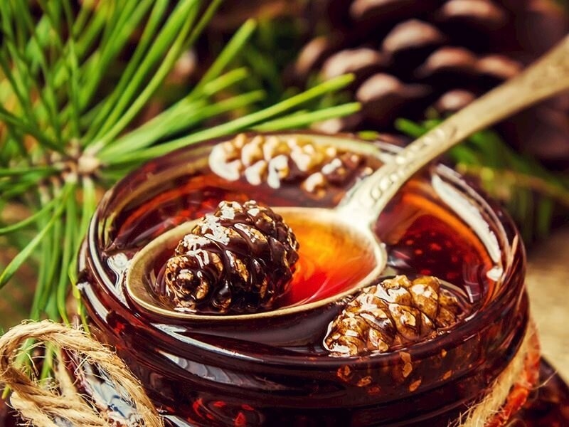 مربى مخروط الصنوبر