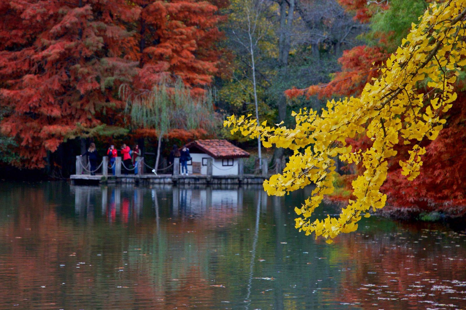 مشتل أتاتورك في ساريير "Atatürk arboretumu"