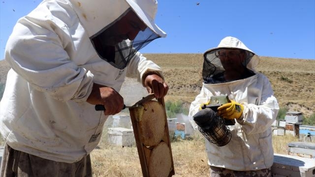 تحتل محافظة أوردو المرتبة الأولى في تركيا بإنتاج العسل