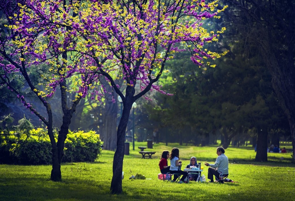 افتتحت حديقة بورصة بوتانك قبل سنة 1998 وتقع على جانب طريق إزمير إسطنبول الدولي