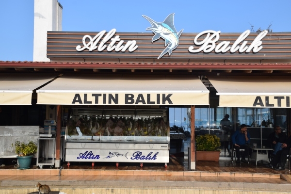 Altın Balık Marin