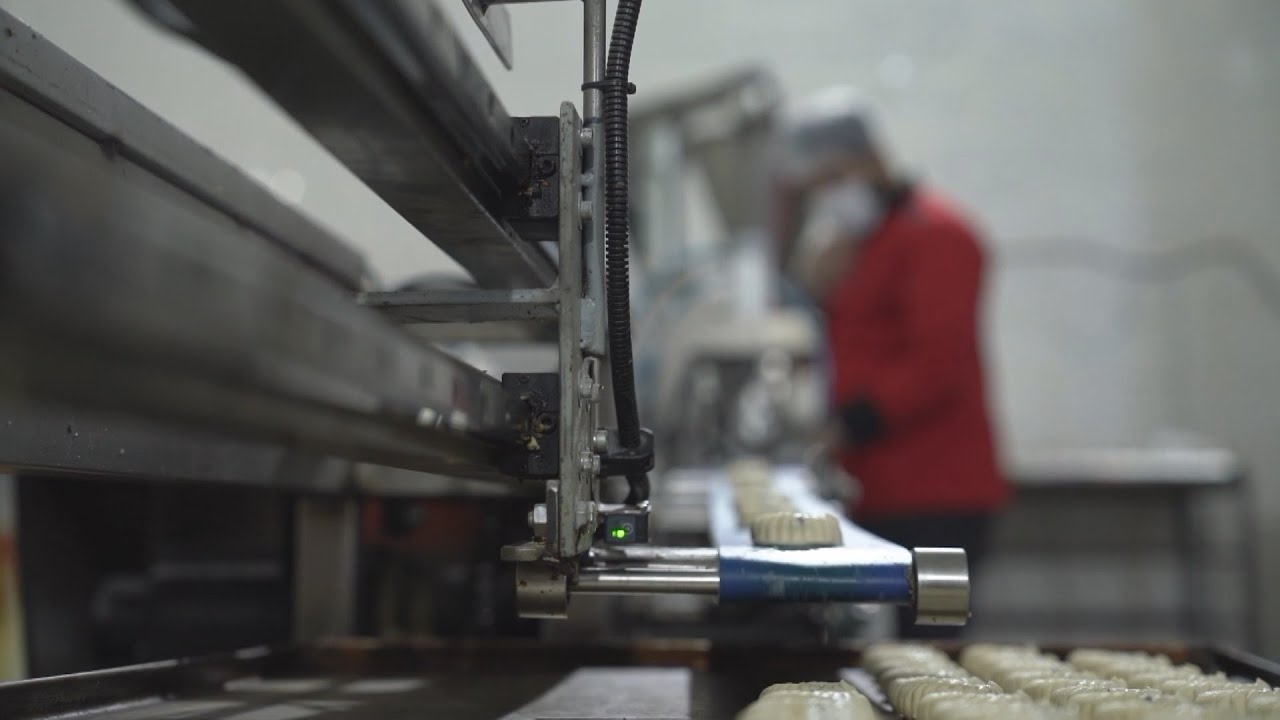 تنتشر العديد من مصانع المنتجات الغذائية في غازي عنتاب