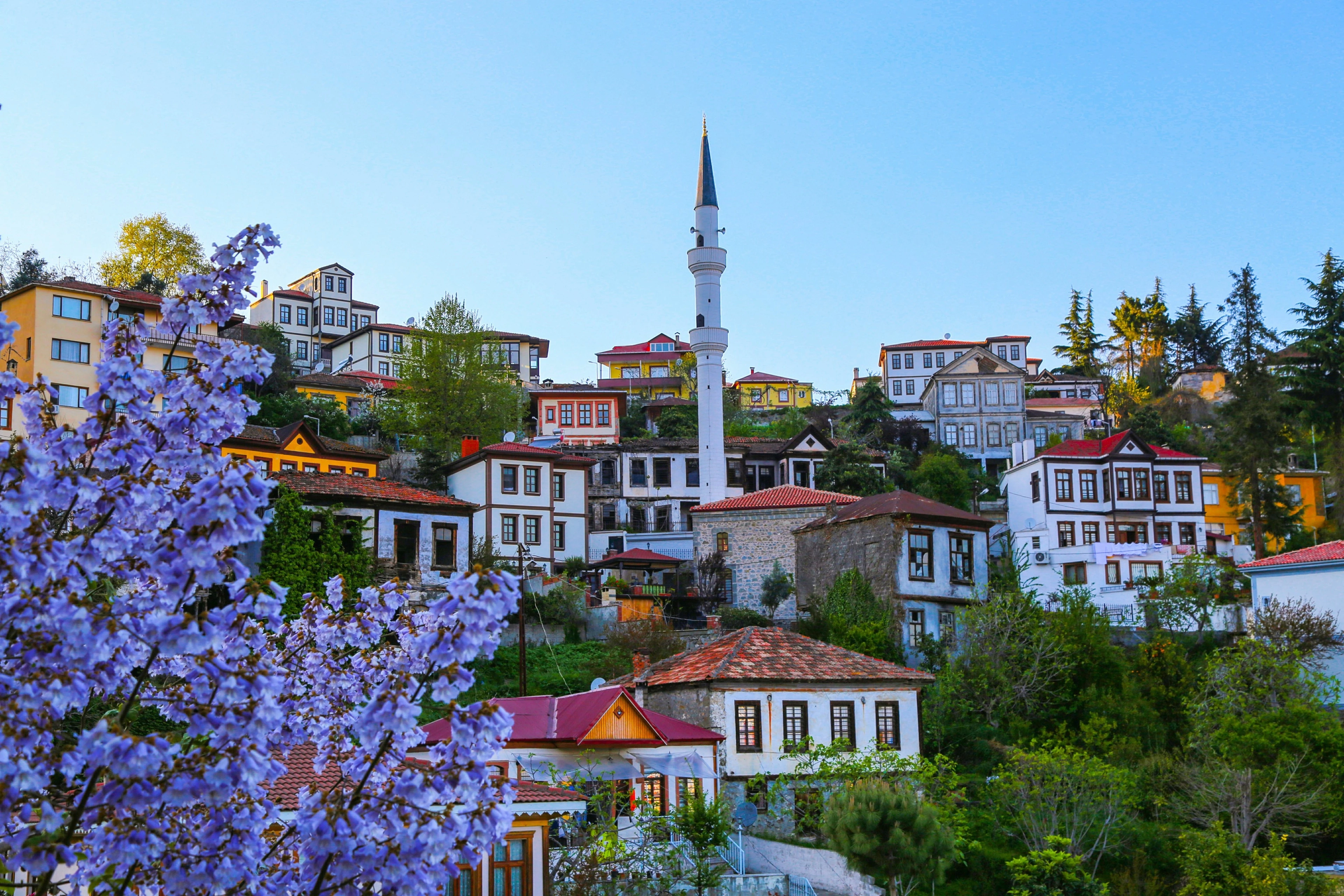 تتمتع ولاية Trabzon بأهمية خاصة تجعل المعيشة بطرابزون التركية أكثر جاذبية من الولايات الأخرى