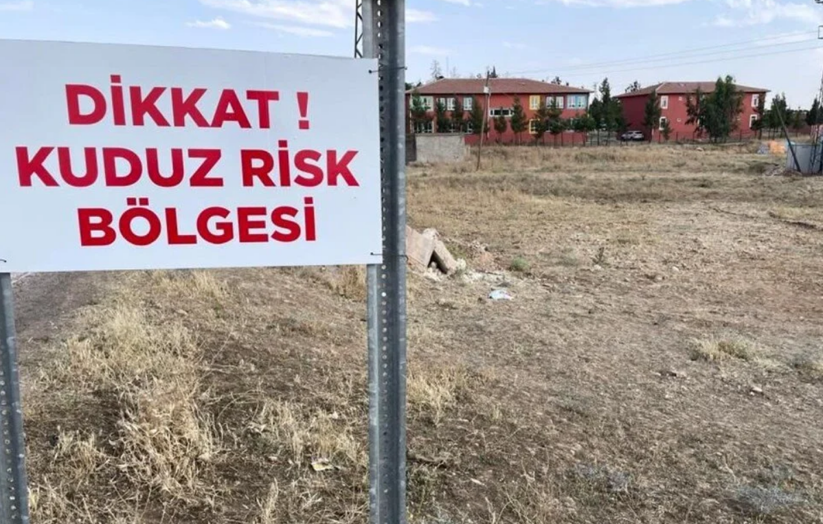 حض الرئيس التركي رجب طيب أردوغان على زيادة وتكثيف عملية تعقيم الكلاب في تركيا